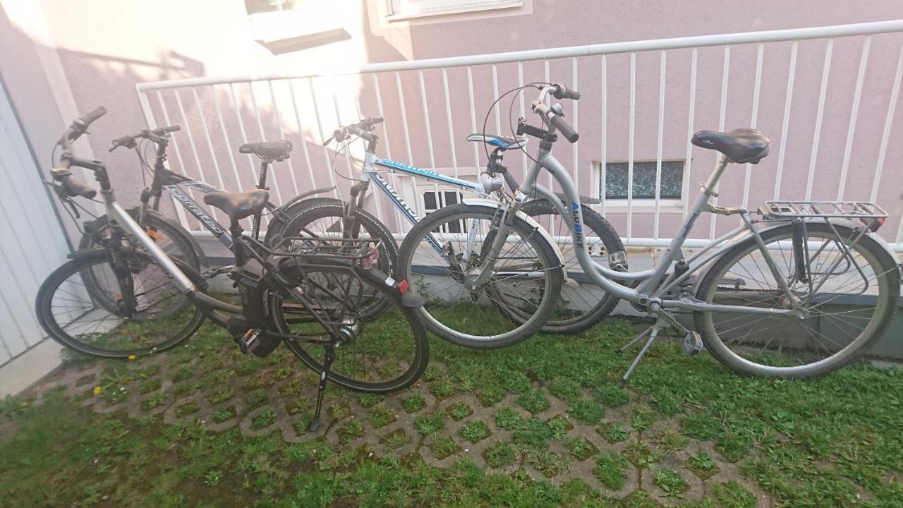 Ferienwohnung Lang Nittenau Exteriér fotografie